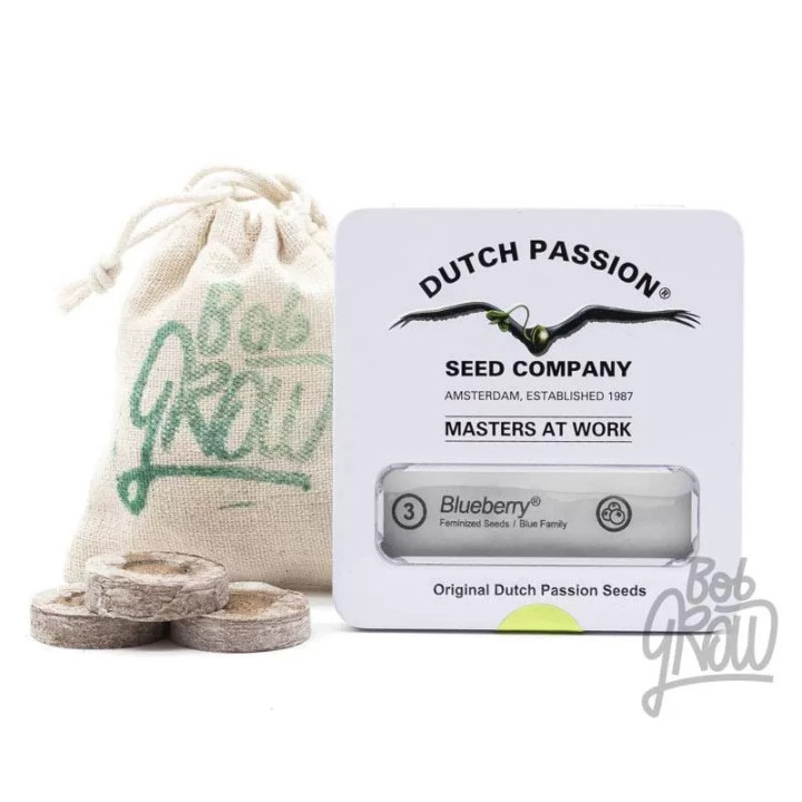 Blueberry FeminizadaDutch Passion