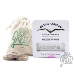  Auto Blueberry 【Dutch Passion Autofloreciente】