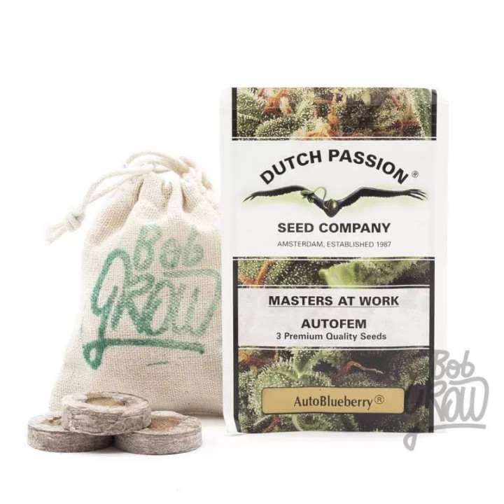  Auto Blueberry 【Dutch Passion Autofloreciente】