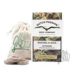 Auto White Widow Dutch Passion