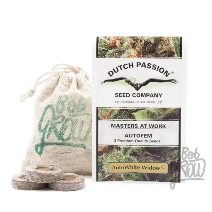 Auto White Widow Dutch Passion Autofloreciente