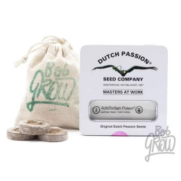  Auto Durban Poison 【Dutch Passion Autofloreciente】