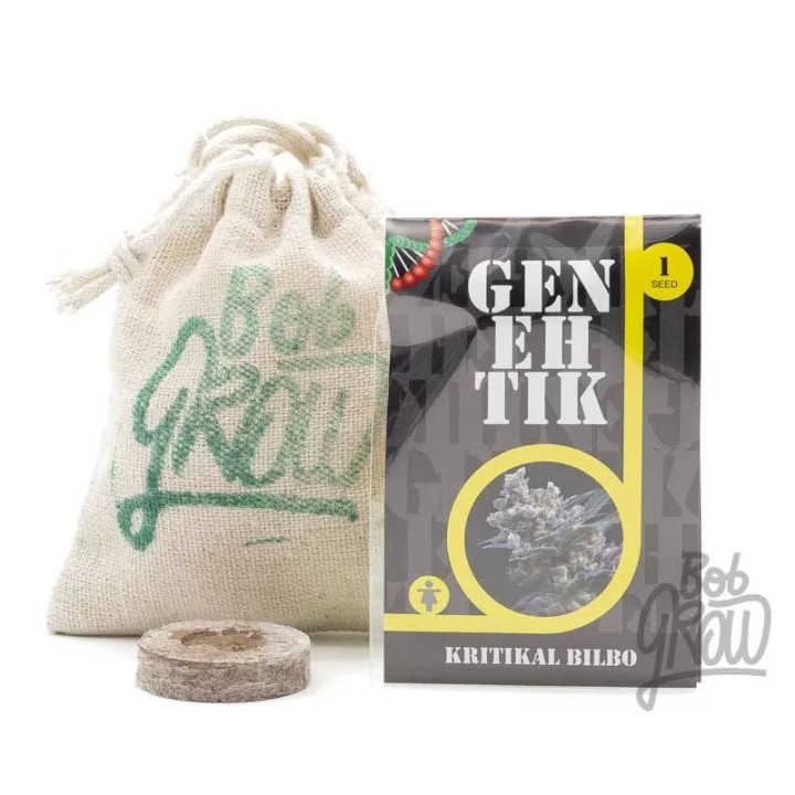Kritikal Bilbo Feminizada Genehtik Seeds