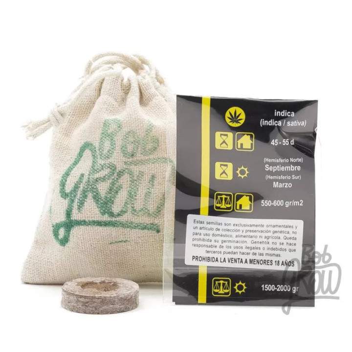 Kritikal Bilbo Feminizada Genehtik Seeds