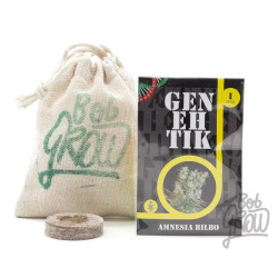 AMNESIA BILBO