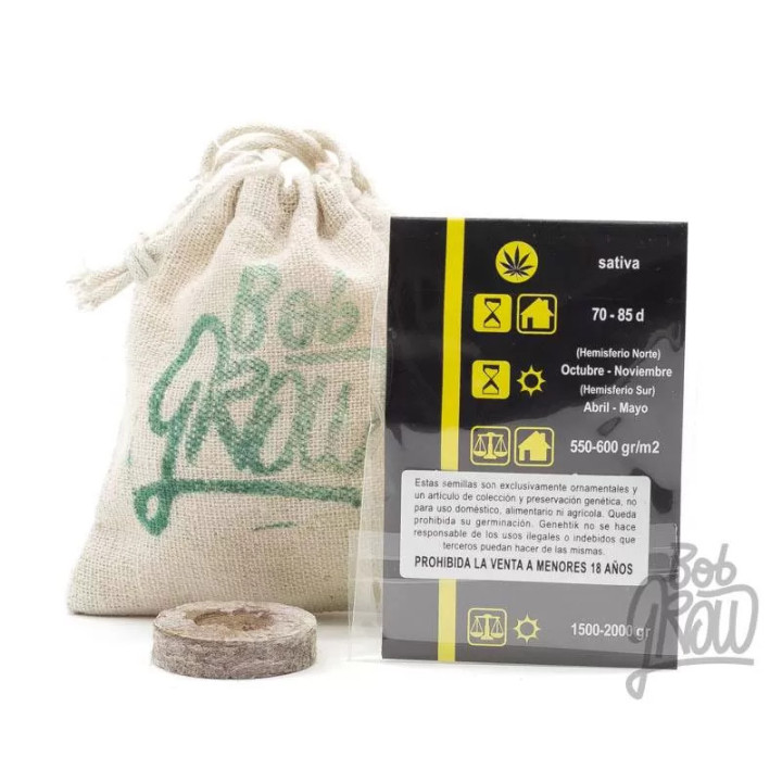 Amnesia Bilbo Feminizada Genehtik Seeds