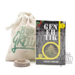  Txees Bilbo Feminizada 【Genehtik Seeds】