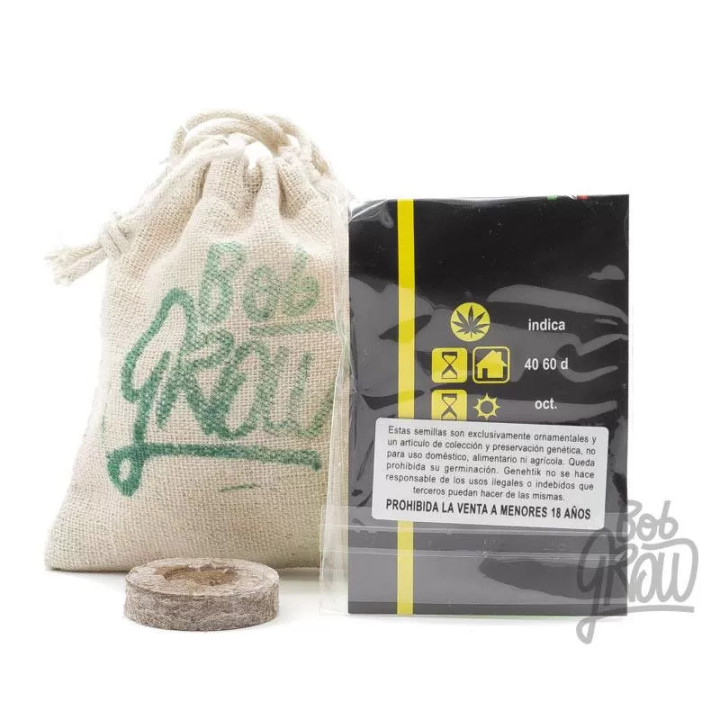  Txees Bilbo Feminizada 【Genehtik Seeds】