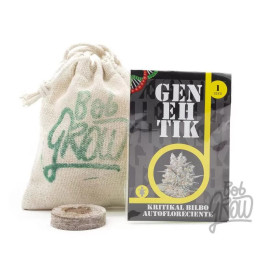  Kritikal Bilbo Auto 【Genehtik Autofloreciente】