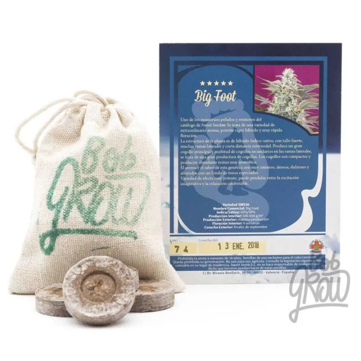  Big Foot Feminizada【Sweet Seeds】