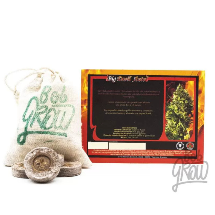  Big Devil Auto【Sweet Seeds Autofloreciente】