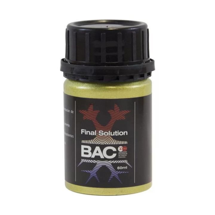  Final Solution【BAC】