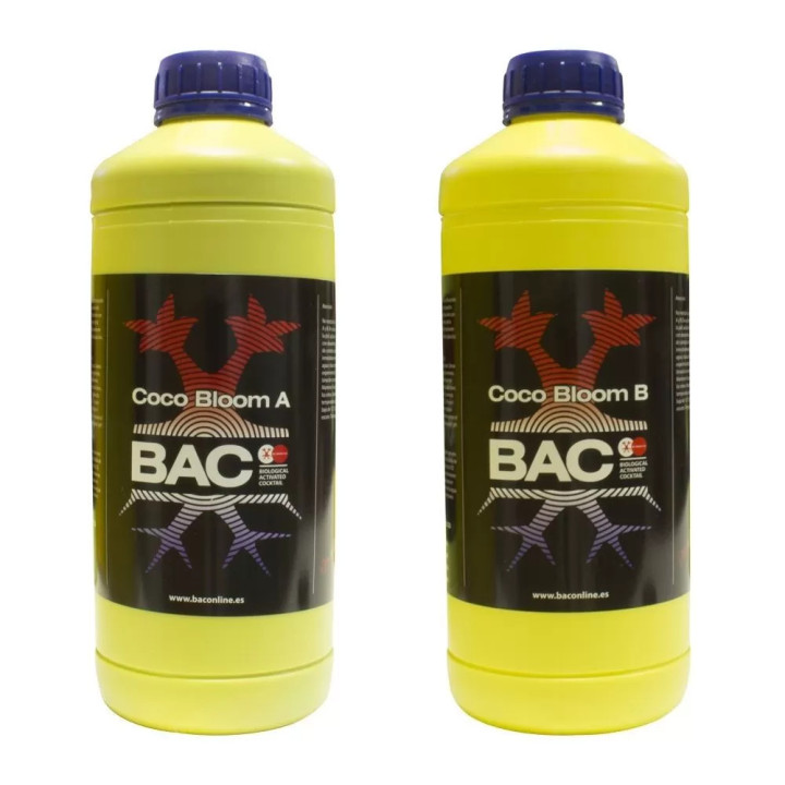 Coco Bloom A+BBAC