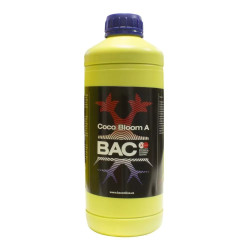 COCO BLOOM A+B