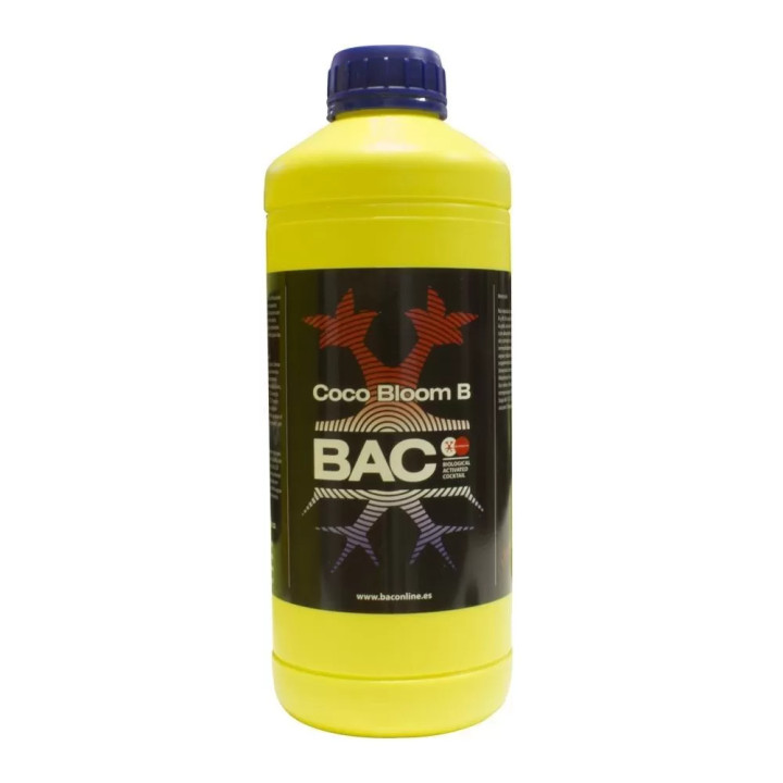 Coco Bloom A+BBAC