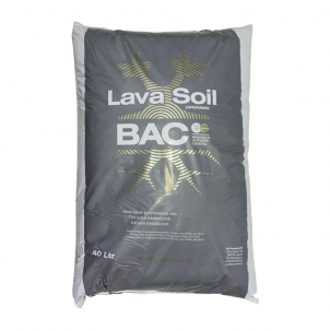 BAC Lava soil