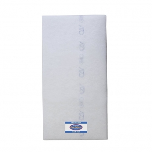 Recambio filtro antiolor Can Filters 2