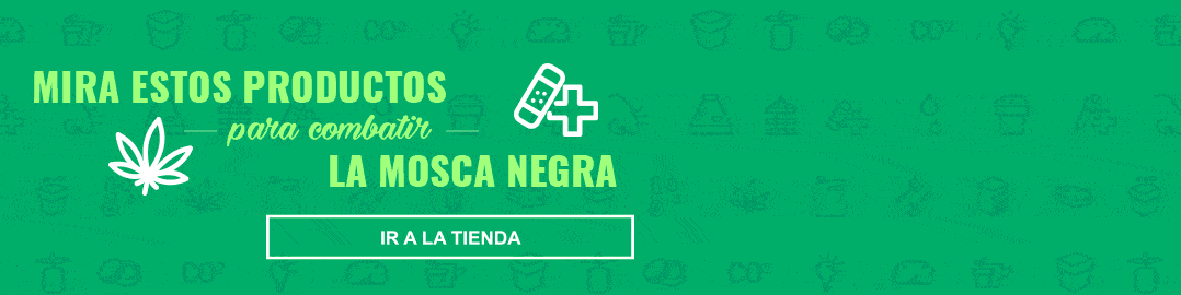 insecticidas y fungicidas