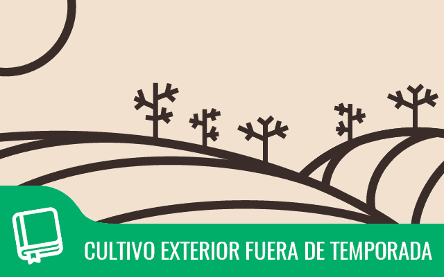 Cultivo en exterior de marihuana