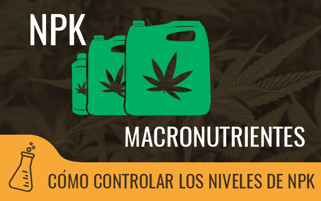MPK macro nutrientes esenciales